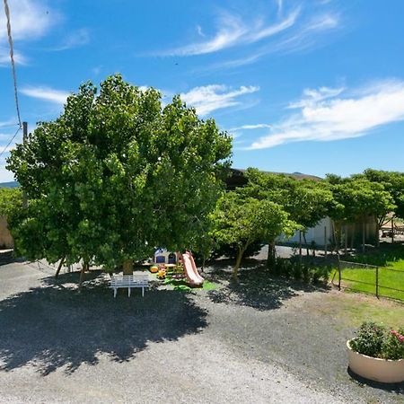Agriturismo Case Nuove Castellina Marittima Eksteriør bilde