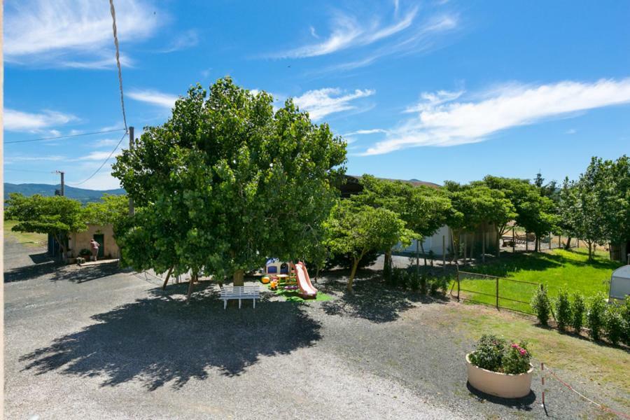 Agriturismo Case Nuove Castellina Marittima Eksteriør bilde
